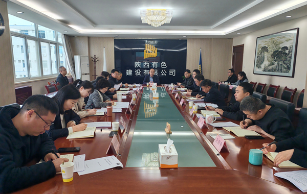 公司召開黨委理論學(xué)習(xí)中心組（擴(kuò)大）學(xué)習(xí)會(huì)傳達(dá)學(xué)習(xí)全國兩會(huì)精神